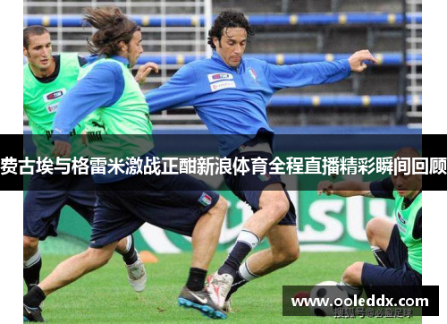 费古埃与格雷米激战正酣新浪体育全程直播精彩瞬间回顾