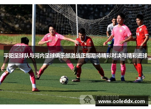 平阳足球队与河内足球俱乐部激战正酣期待精彩对决与精彩进球